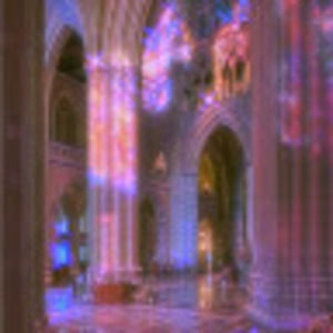 Meet your Posher, Skylar